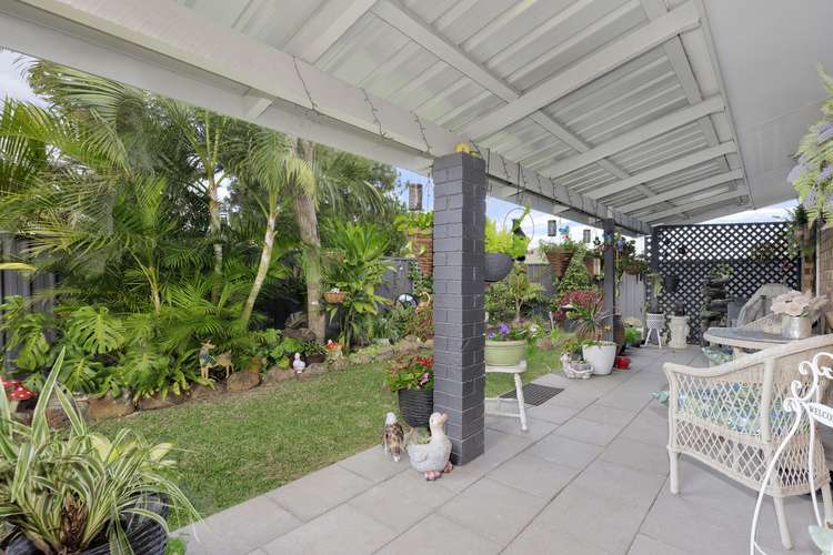 Main view of Homely house listing, 36 Pecton Place, Avenell Heights QLD 4670