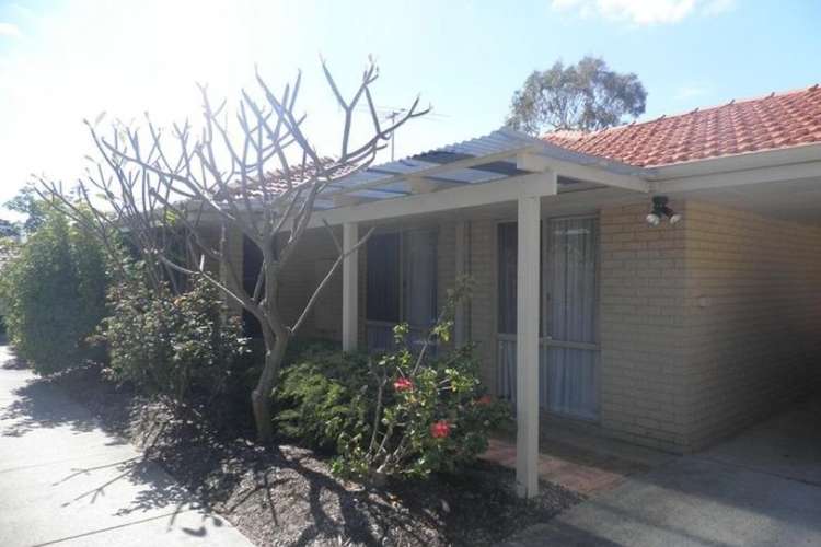 Main view of Homely villa listing, 114A Ardross Street, Mount Pleasant WA 6153