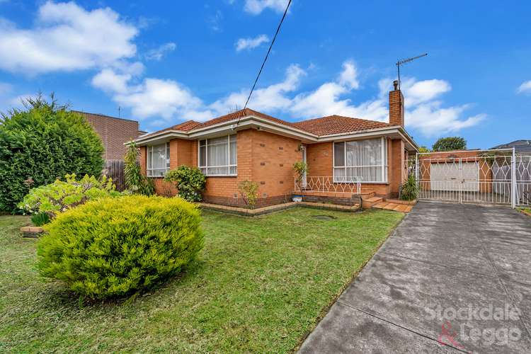 Main view of Homely house listing, 50 Hilton Street, Hadfield VIC 3046