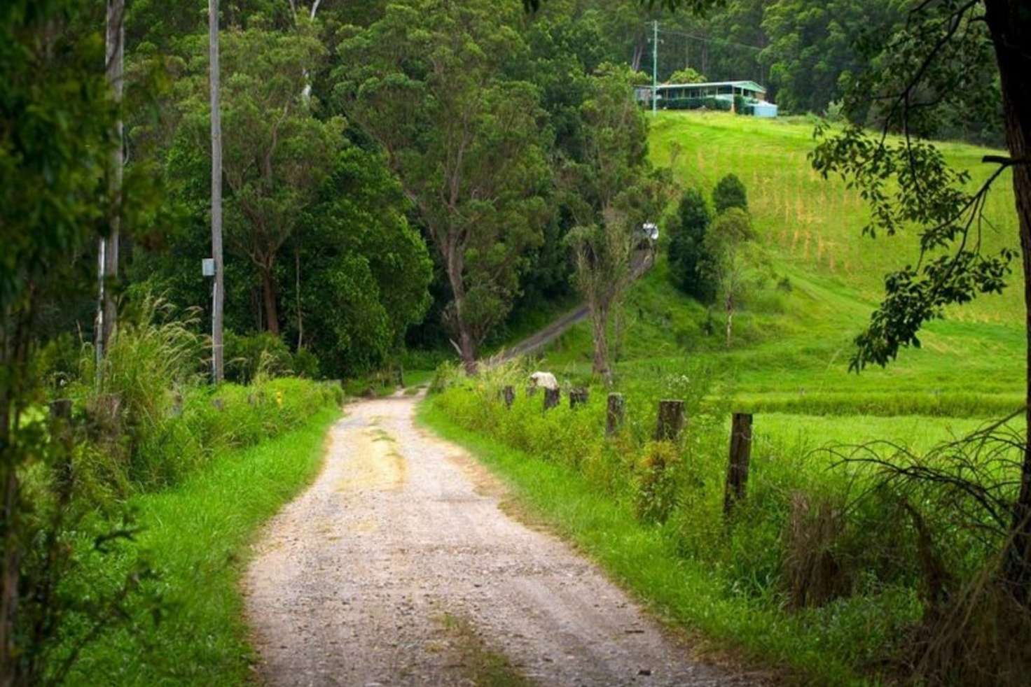 Main view of Homely acreageSemiRural listing, 2/763 Waterfall Way, Fernmount NSW 2454