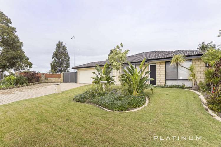 Main view of Homely house listing, 10 Witchetty Loop, Banksia Grove WA 6031