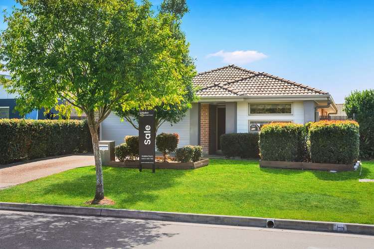 Main view of Homely house listing, 3 Undarra Street, Pimpama QLD 4209