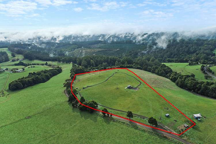 185 Old Colac Road, Beech Forest VIC 3237