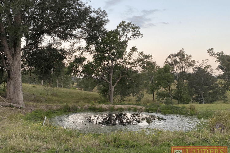 Fourth view of Homely residentialLand listing, 844 Wherrol Flat Road, Wherrol Flat NSW 2429