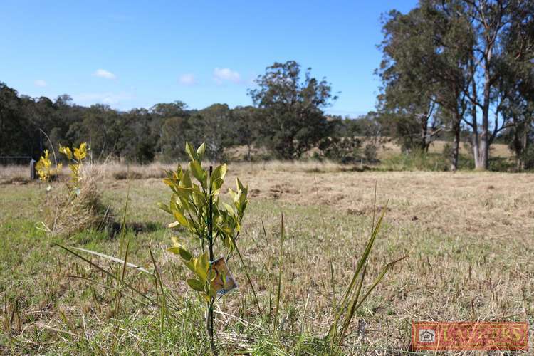 Sixth view of Homely residentialLand listing, 844 Wherrol Flat Road, Wherrol Flat NSW 2429