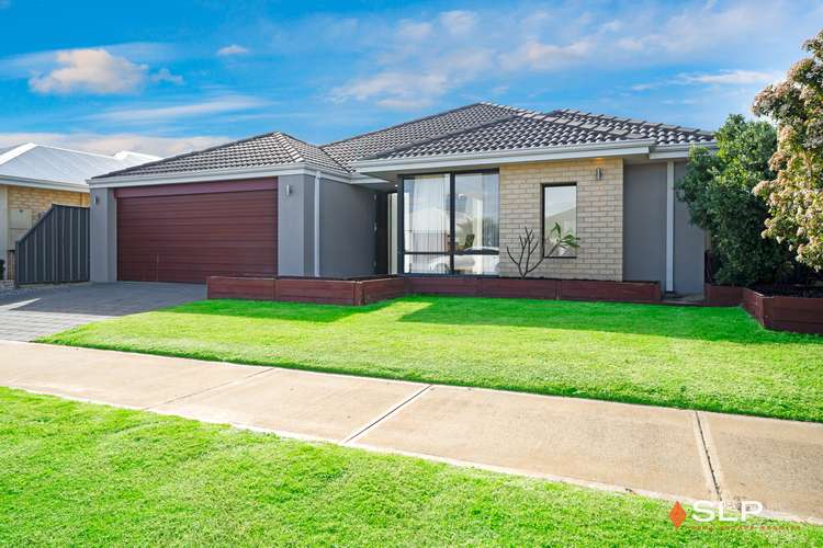 Third view of Homely house listing, 19 Echidna Street, Banksia Grove WA 6031