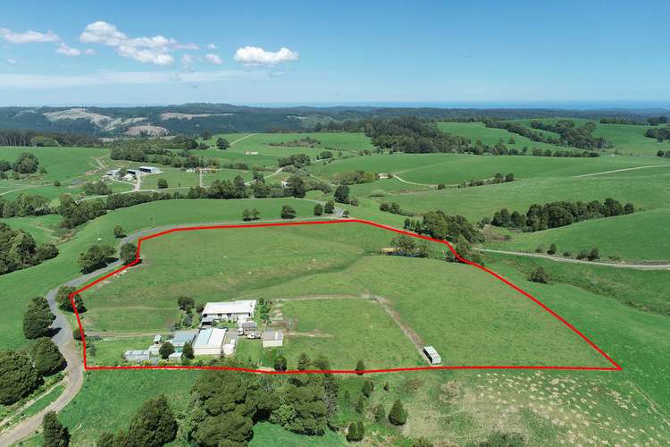 80 Dehnerts Track, Beech Forest VIC 3237