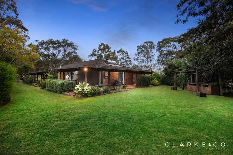 538 Duns Creek Road, Duns Creek NSW 2321