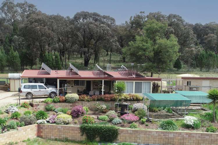 Main view of Homely livestock listing, 'Jamac' 823 Peabody Road, Molong NSW 2866