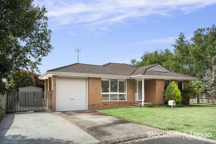 16 Ryan Court, Drysdale VIC 3222