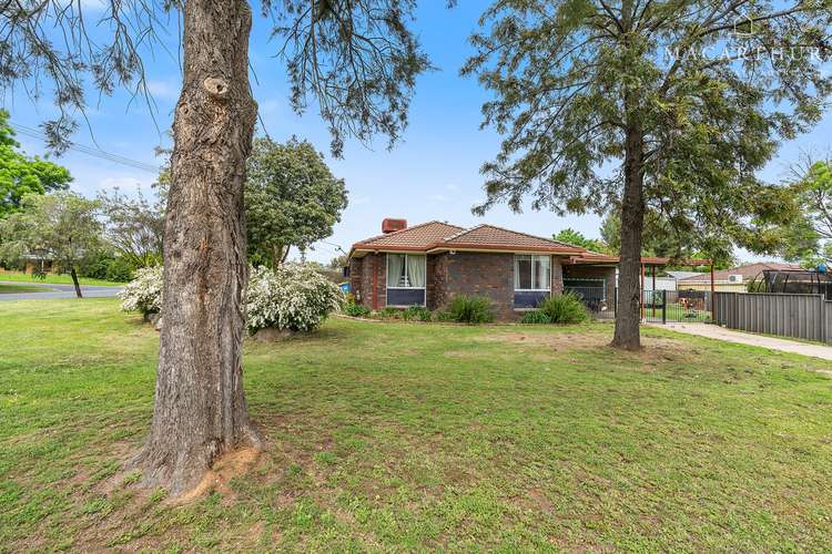 14 Crisp Drive, Ashmont NSW 2650