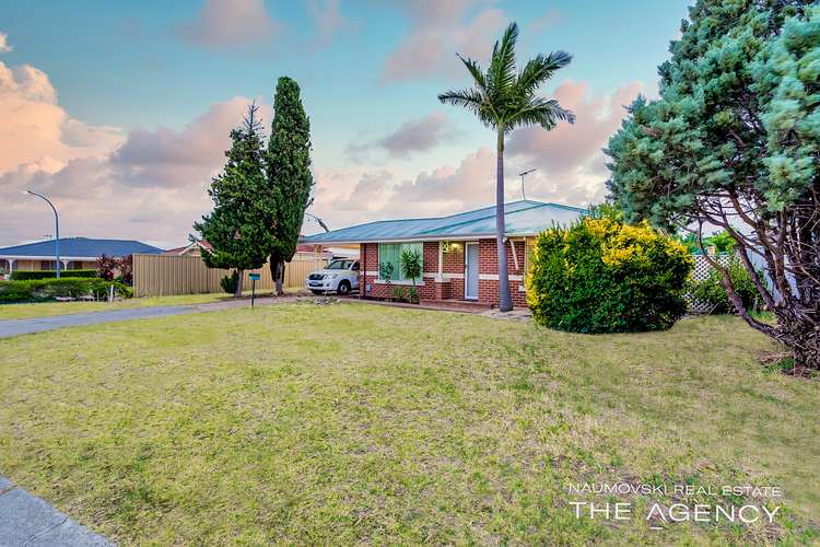 Main view of Homely house listing, 20 Claredon Court, Alexander Heights WA 6064