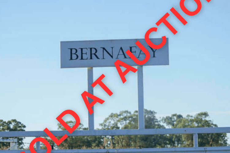 'Bernafay' 605 Pangee Road, Nyngan NSW 2825