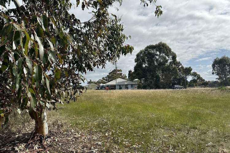 Main view of Homely residentialLand listing, 42 (Lot 800) Seventh Avenue, Kendenup WA 6323