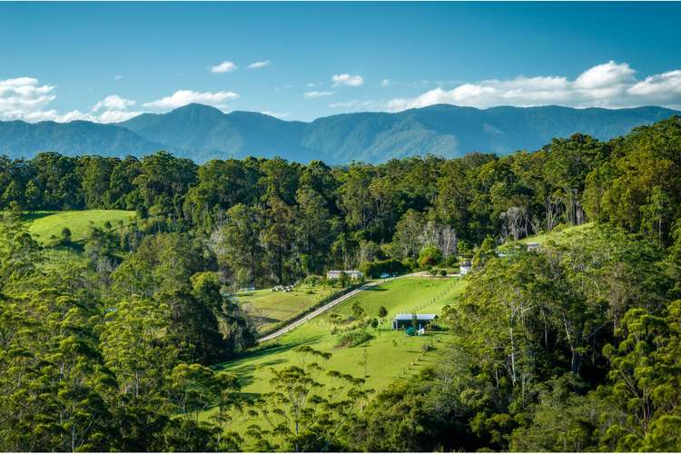 617 Bowraville Road, Bellingen NSW 2454