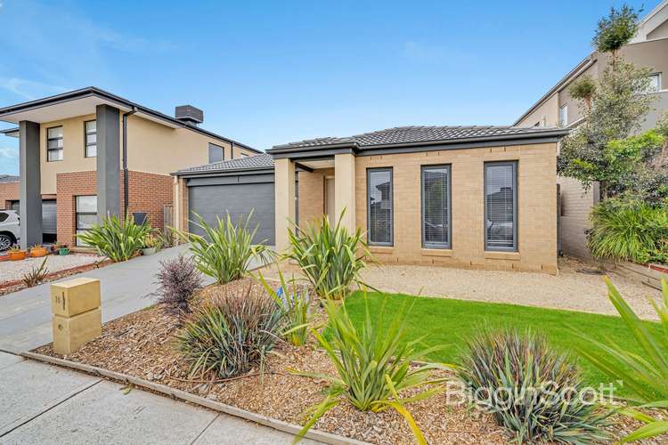 18 Cottongrass Avenue, Clyde North VIC 3978