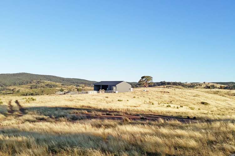 Second view of Homely livestock listing, 660 Kerrs Creek Road, Kerrs Creek NSW 2800