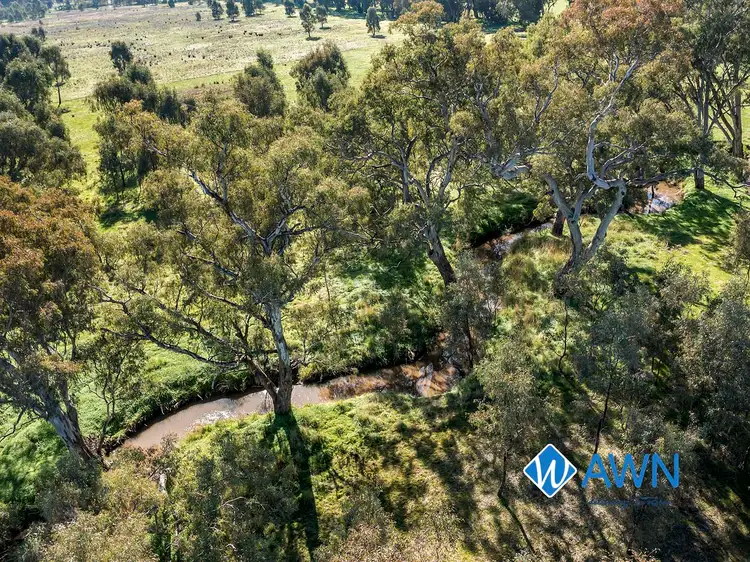 Sixth view of Homely rural property listing, 360 Leos Road, Violet Town VIC 3669