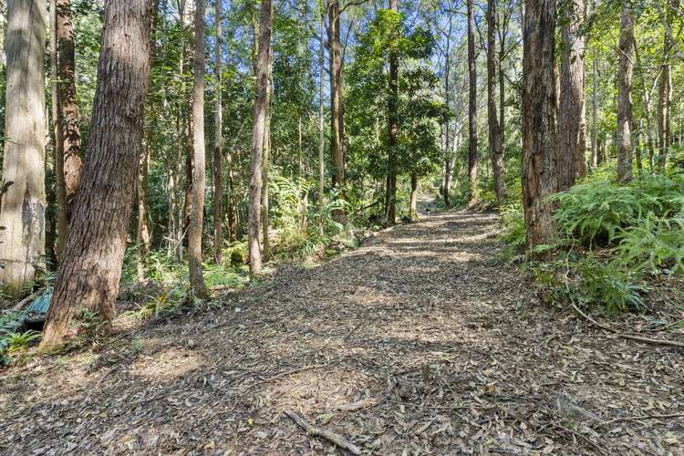 1943 Springbrook Road, Springbrook QLD 4213