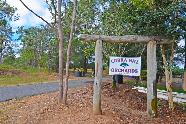 50 Cobra Road, Mareeba QLD 4880