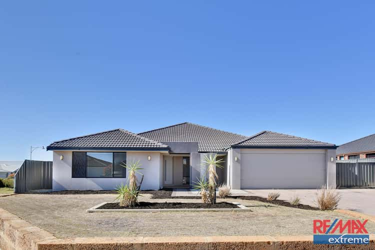 Main view of Homely house listing, 14 Leschenault Loop, Banksia Grove WA 6031