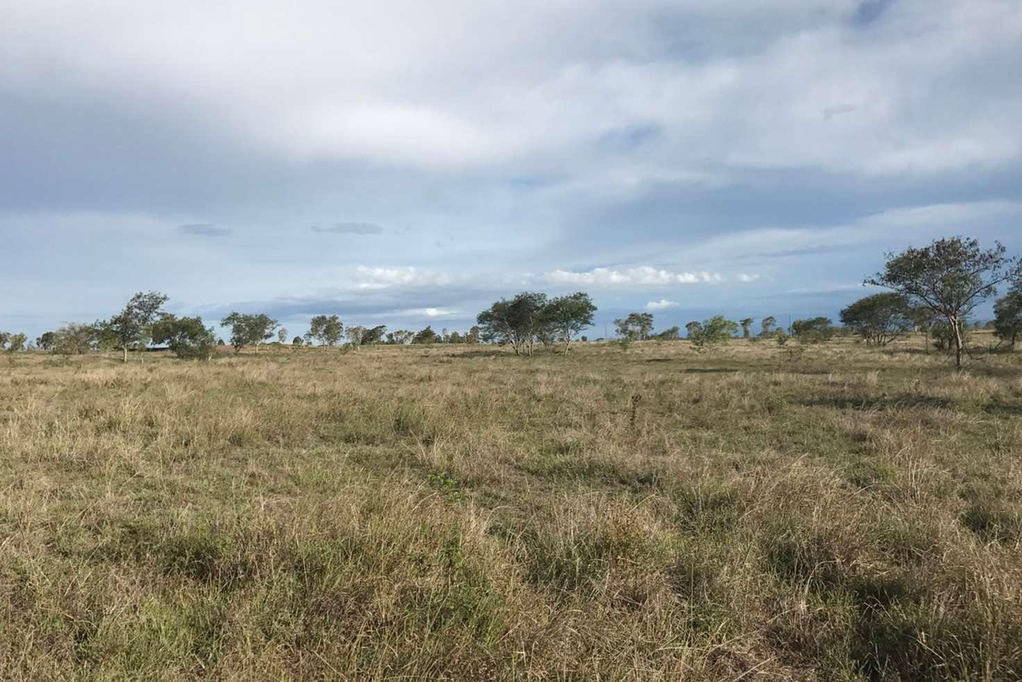 Main view of Homely lifestyle listing, LOT 153 McKenzie Road, Alton Downs QLD 4702