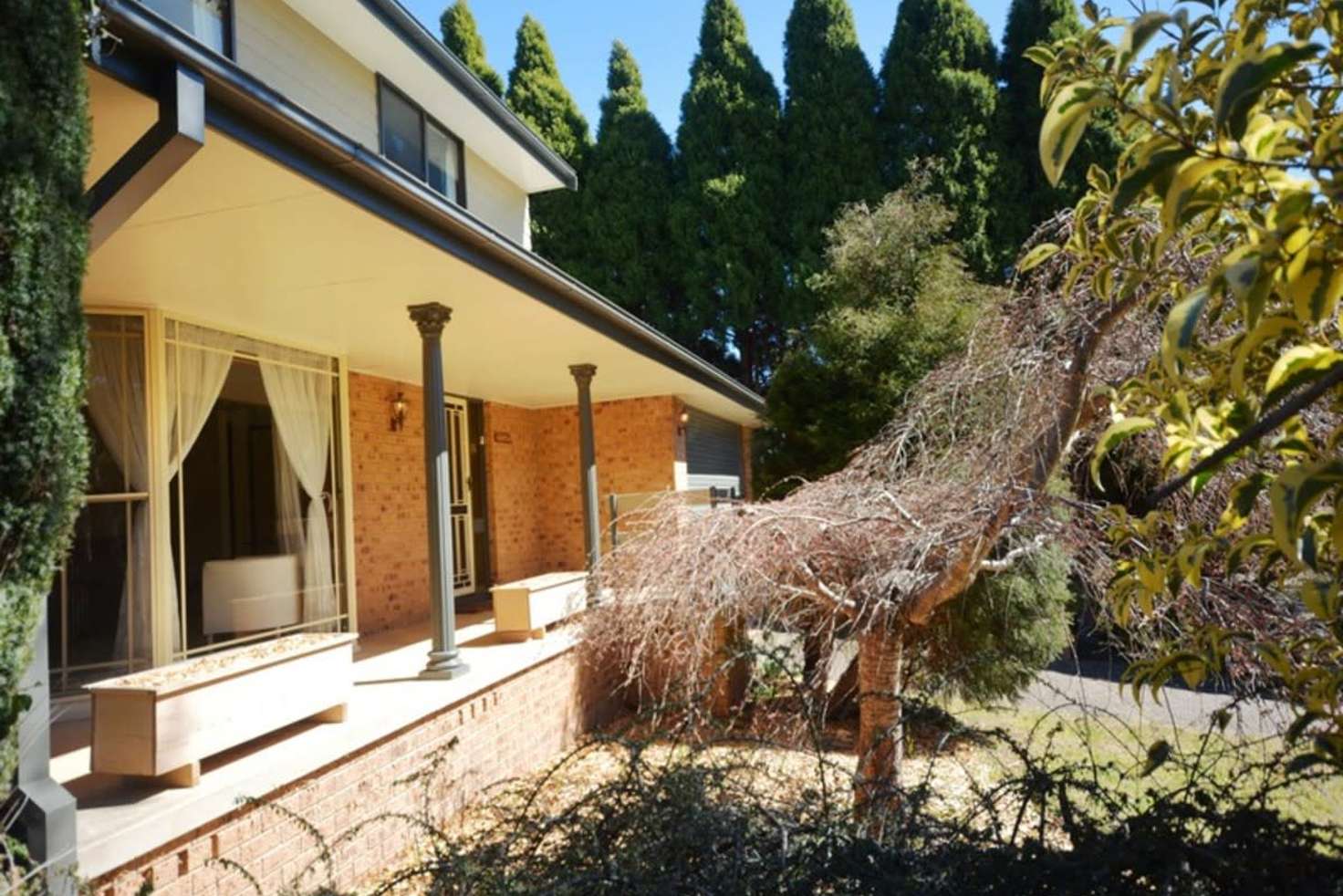 Main view of Homely house listing, 343 Cliff Drive, Katoomba NSW 2780