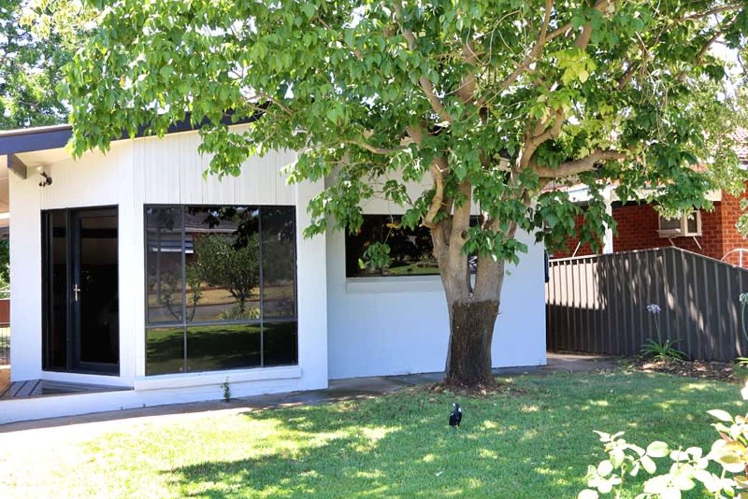 Main view of Homely house listing, 3 Vasey Street, Ashmont NSW 2650