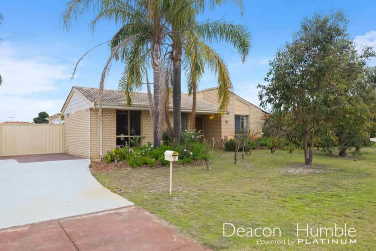 Sixth view of Homely house listing, 41 Rosella Circle, Ballajura WA 6066