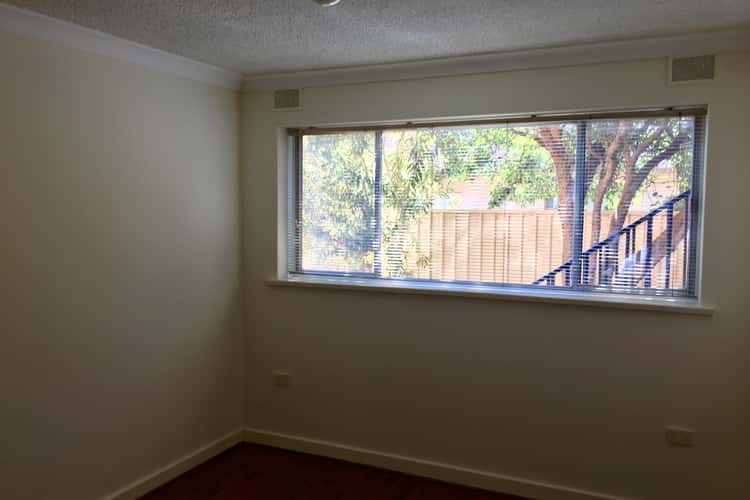 Fifth view of Homely unit listing, 1/31 Everard Avenue, Ashford SA 5035