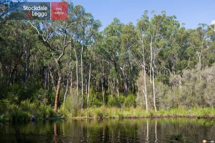 Third view of Homely acreageSemiRural listing, 370 Purvis Road, Tanjil South VIC 3825