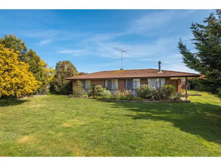 31 Rose Boulevard