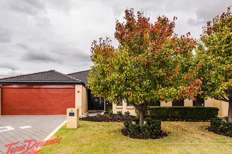 Main view of Homely house listing, 3 Cotoneaster Ramble, Stirling WA 6021