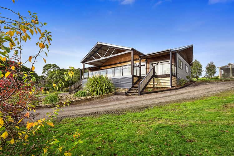 90 Old Colac Road, Beech Forest VIC 3237