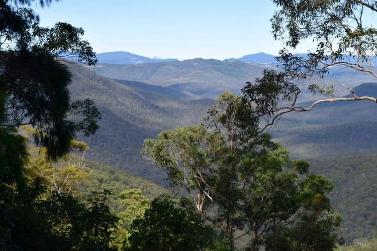 45 STAGHORN Road, Tamborine Mountain QLD 4272