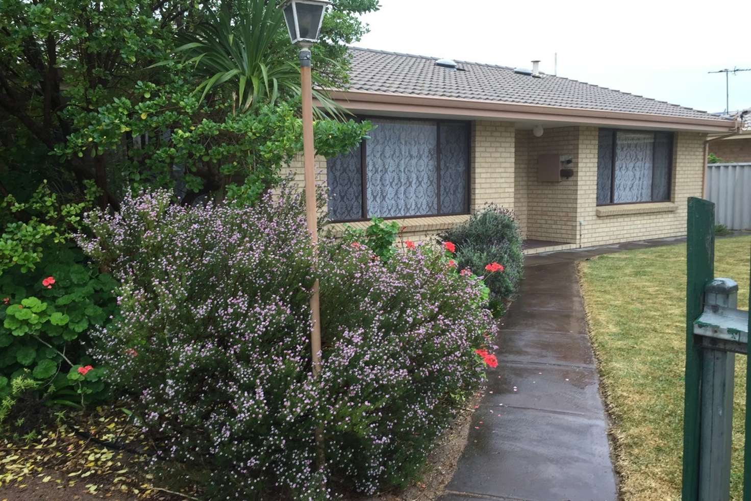 Main view of Homely house listing, 7 Alexander Drive, Castletown WA 6450