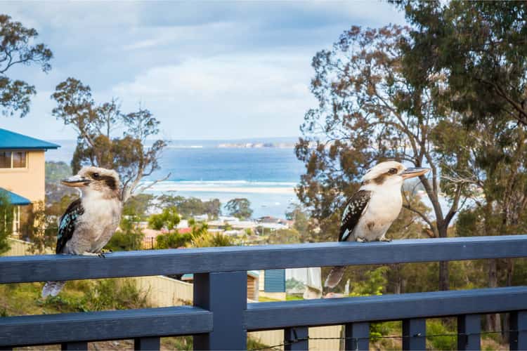 Second view of Homely house listing, 14 Camilla Court, Merimbula NSW 2548
