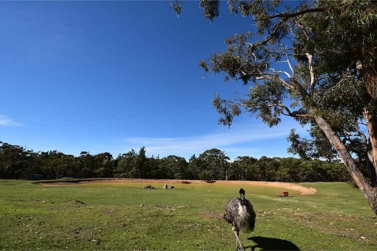 Second view of Homely acreageSemiRural listing, 184 Canham Road, Birdwood SA 5234