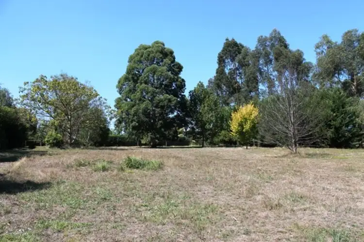 206 Main Neerim Road