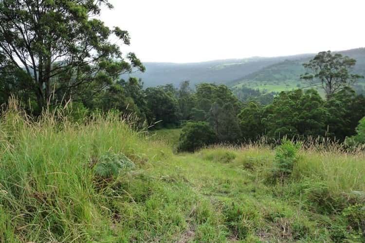 Third view of Homely residentialLand listing, 121 Pocket Road, Numinbah Valley QLD 4211