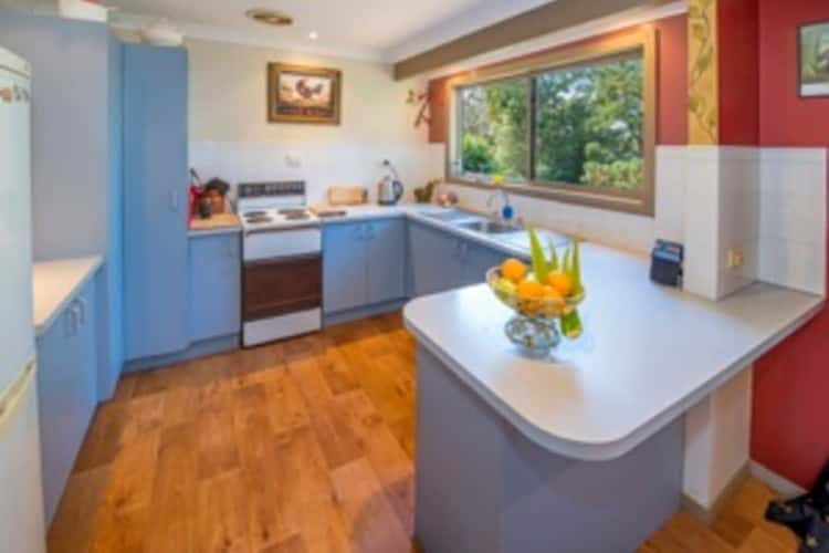 Third view of Homely house listing, 51 Lyon Street, Bellingen NSW 2454