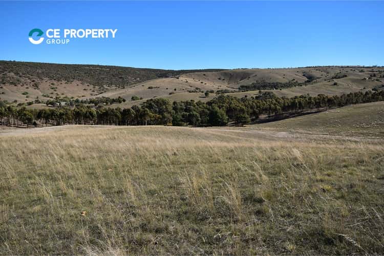 Main view of Homely lifestyle listing, LOT 104 Mine Road, Palmer SA 5237