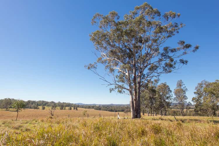Fourth view of Homely lifestyle listing, 3 Six Mile Lane, Glenugie NSW 2460
