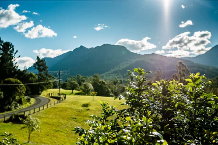 Second view of Homely acreageSemiRural listing, 370 Roses Road, Bellingen NSW 2454