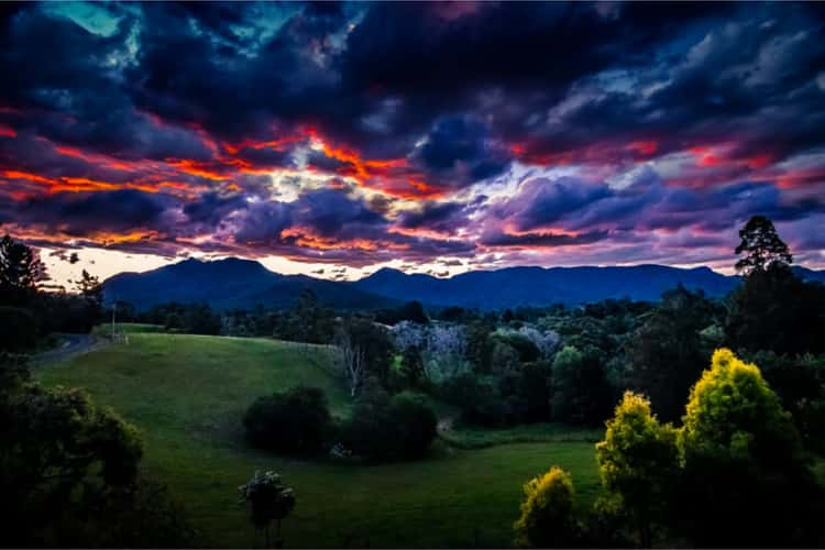 Fourth view of Homely acreageSemiRural listing, 370 Roses Road, Bellingen NSW 2454