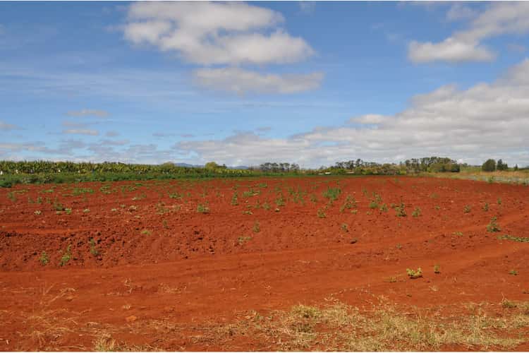 Main view of Homely horticulture listing, 141, LOT 141, 531 Hansen Road, Walkamin QLD 4872