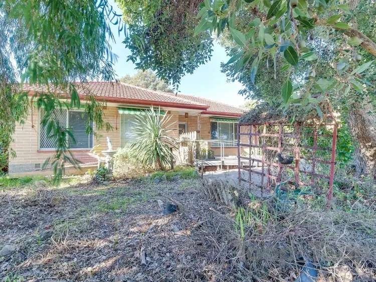 10 Ellen Street, Tea Tree Gully SA 5091