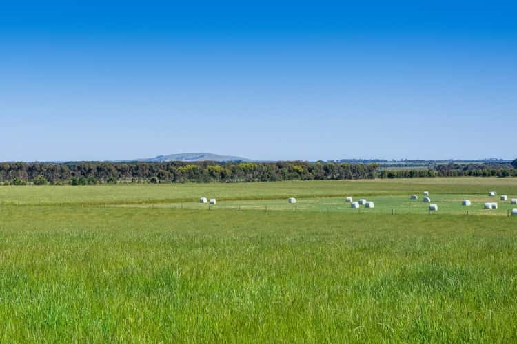 Third view of Homely lifestyle listing, 3615 Cape Otway Road, Birregurra VIC 3242