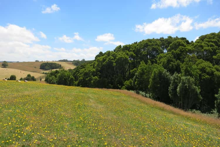 Fifth view of Homely residentialLand listing, 60 Dehnerts Track, Beech Forest VIC 3237