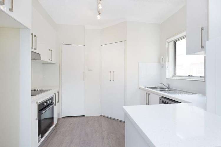 Second view of Homely apartment listing, 7/25 Cook Street, Randwick NSW 2031